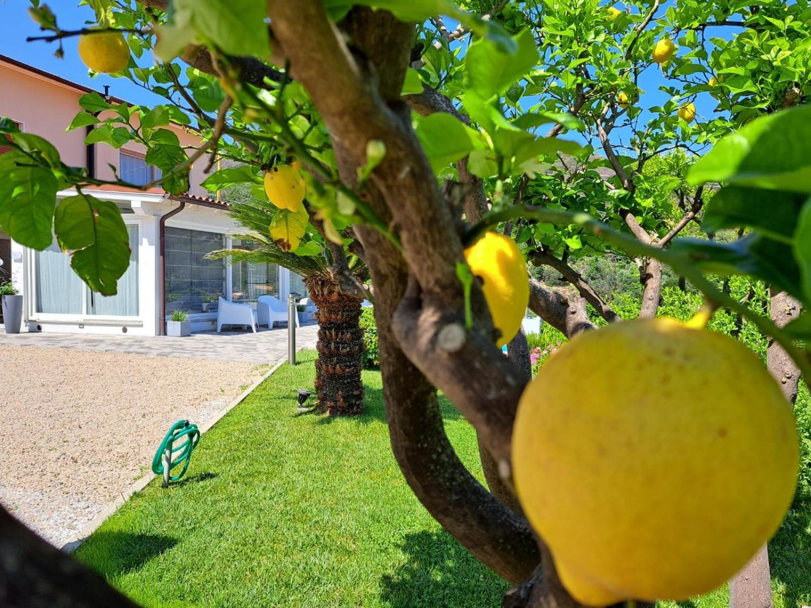 B&B Capo Al Piano Marciana Marina  Dış mekan fotoğraf