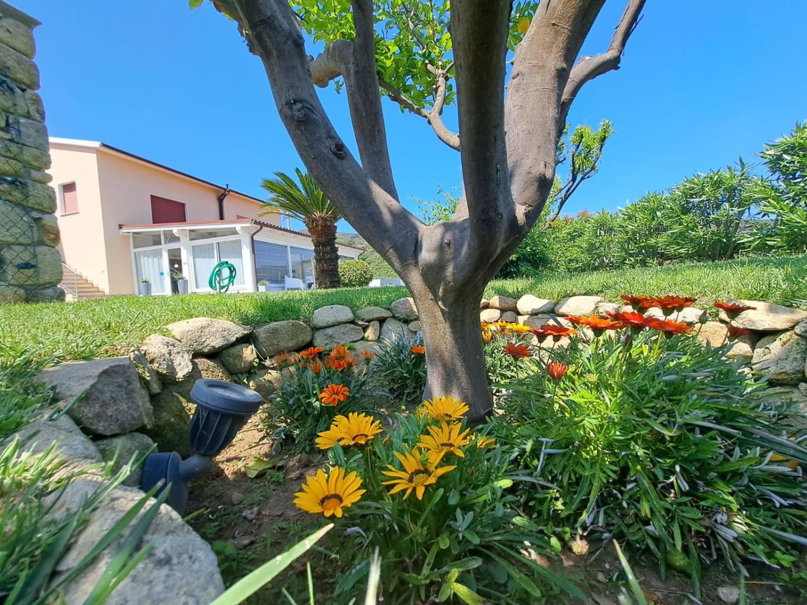 B&B Capo Al Piano Marciana Marina  Dış mekan fotoğraf