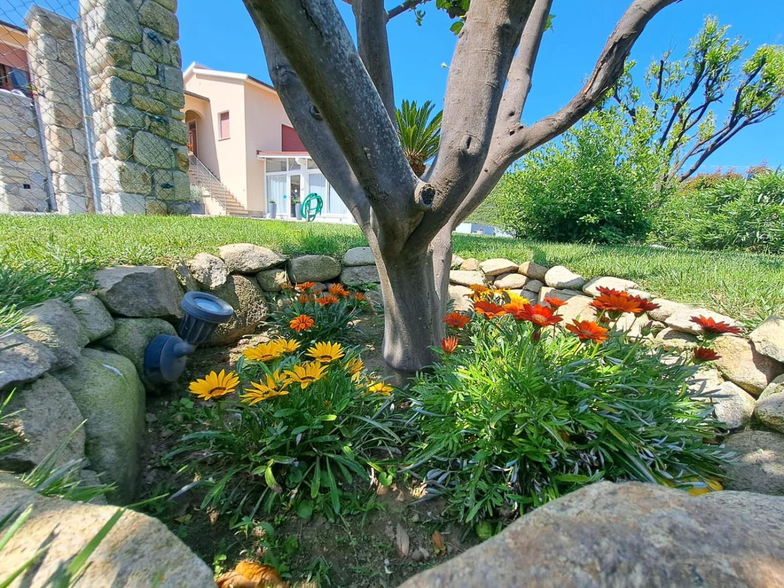 B&B Capo Al Piano Marciana Marina  Dış mekan fotoğraf