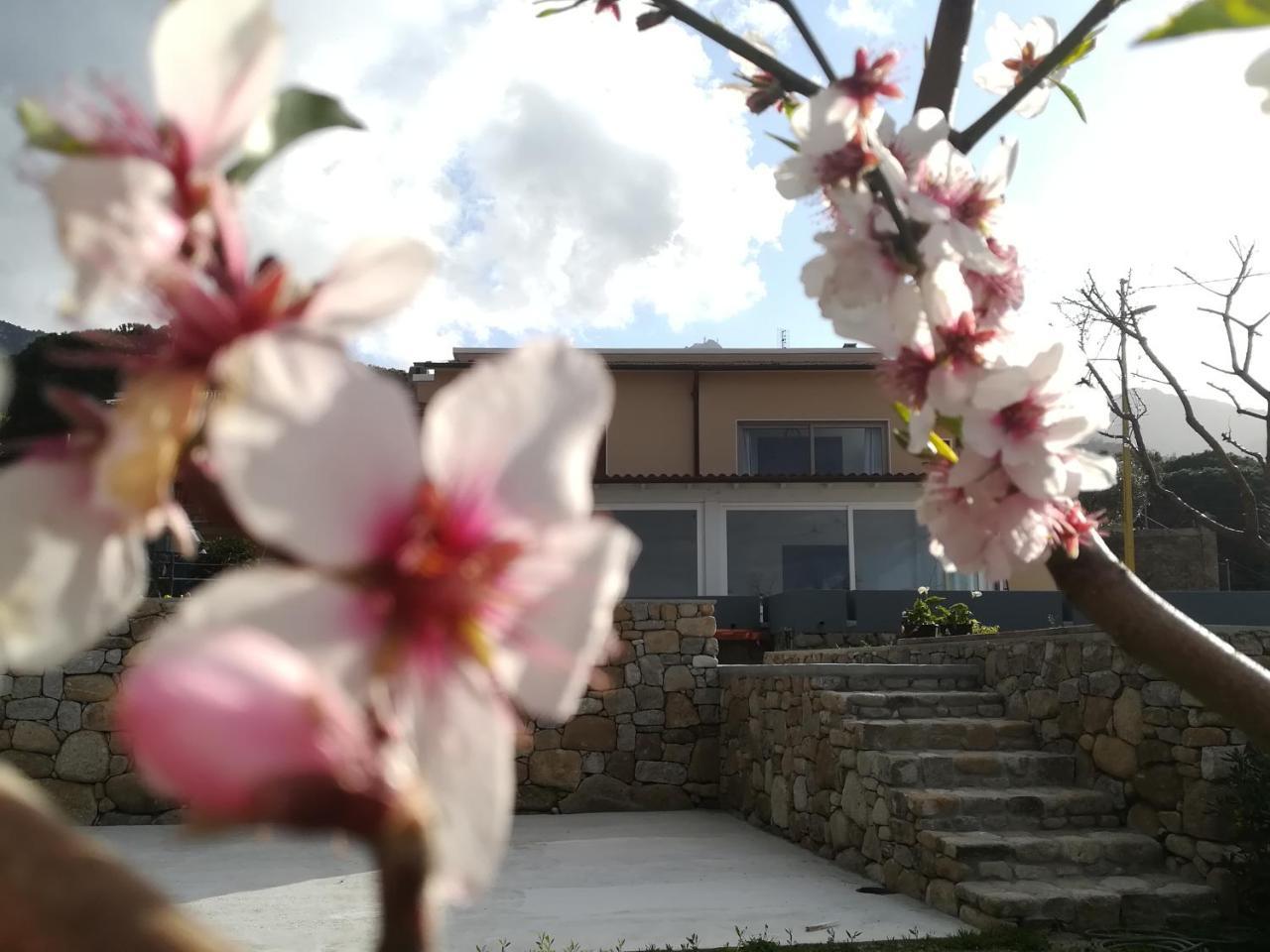 B&B Capo Al Piano Marciana Marina  Dış mekan fotoğraf